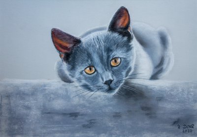 Grå kat af Renate Dohr