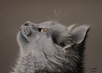 Kat øjeblik af Renate Dohr