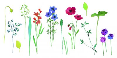 Farverige akvarelblomster af Renate Holzner