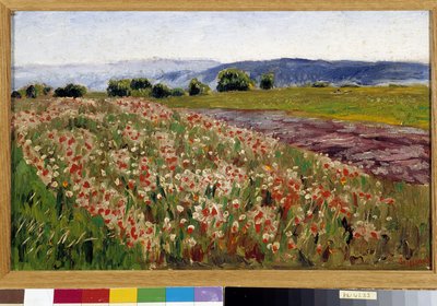Valmuefeltet (maleri) af Rene Auguste Seyssaud