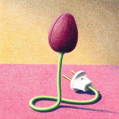 Elektrisk tulipan af Rene Boin