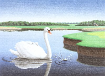 Plask af Rene Boin