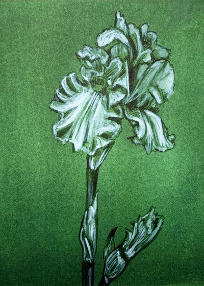 Elegant grøn iris af Renee Machan Cottagecore Artist