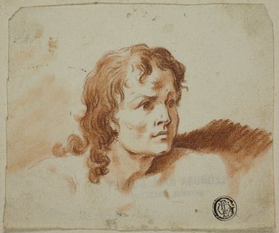 Buste af en ung mand af Rev. Matthew William Peters