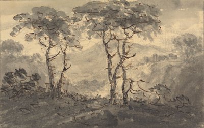 Grantræer i et bjerglandskab af Rev. William Gilpin