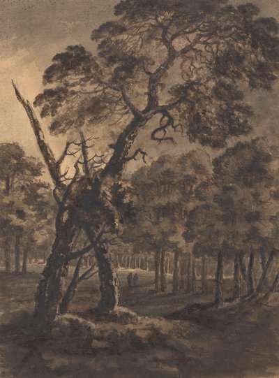 Skovscene af Rev. William Gilpin