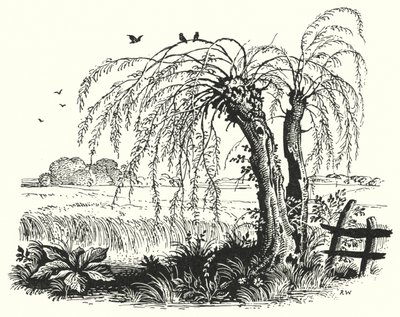 HC Andersen: Boghveden (litho) af Rex (after) Whistler