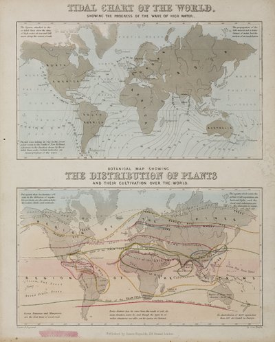 Et tidevandsdiagram og et kort over fordelingen af planter over hele verden, c 1850 af John Pardon
