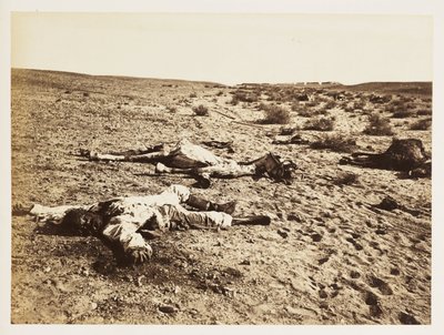 Død soldat i Tel-el-Kebir, Egypten, 6. december 1882 af John Pardon