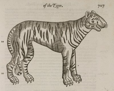 Tigeren af John Pardon