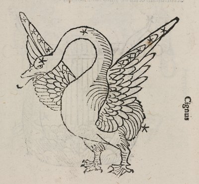 Stjernebilledet Cygnus af John Pardon