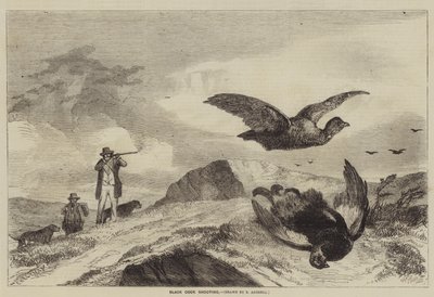 Sort pik skydning af Richard Ansdell