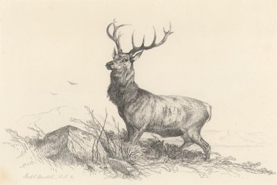 Sentinelen af Richard Ansdell