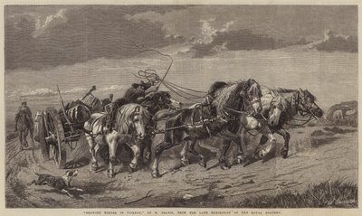 Tegning af tømmer i Picardie af Richard Beavis