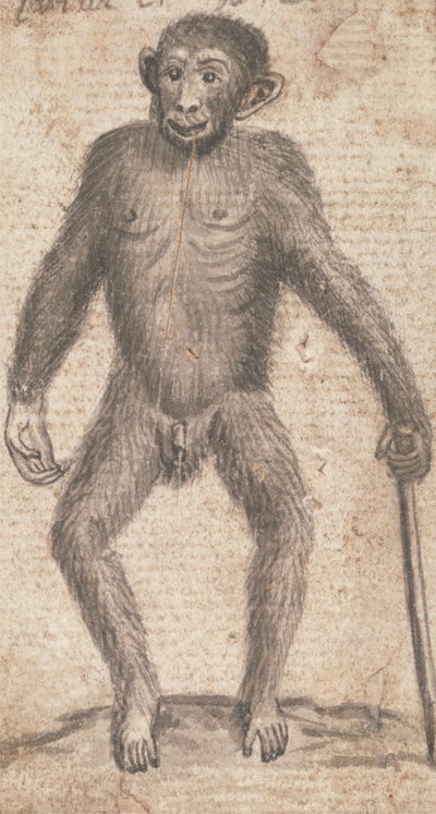 Aber (en af tre på ét beslag) af Richard Brookes
