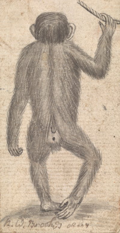 Aber (en af tre på ét beslag) af Richard Brookes