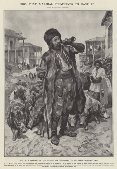 Grise, der går på græs (litho) af Richard Caton II (after) Woodville