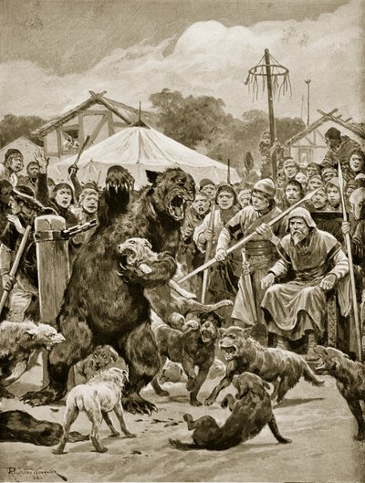 Bear Baiting in Saxon Times, illustration fra 