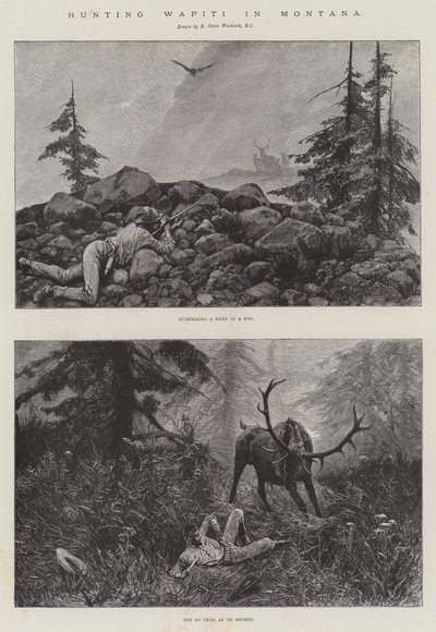 Jagt Wapiti i Montana af Richard Caton Woodville junior