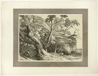Landskab med store træer, fra den første udgave af Specimens of Polyautography af Richard Cooper II