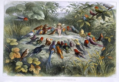 En nisse og fugle af Richard Doyle