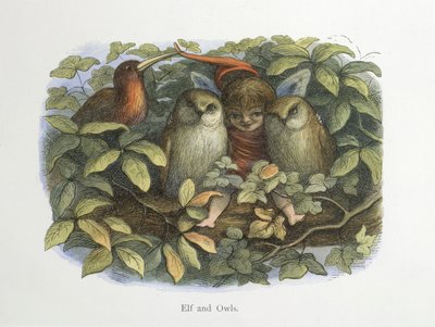 Alf og ugler af Richard Doyle