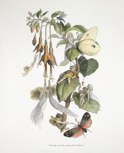 Fest og sjov blandt fuschiaerne af Richard Doyle