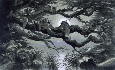Feer, nymfer og alfer hviler i måneskin på en gren? Illustration af ""In Fairyland. En serie billeder fra alven - verden"" af Richard Doyle 1869-1870 The British Library Institution Reference: Opstillingsmærke ID: 1876 e18 