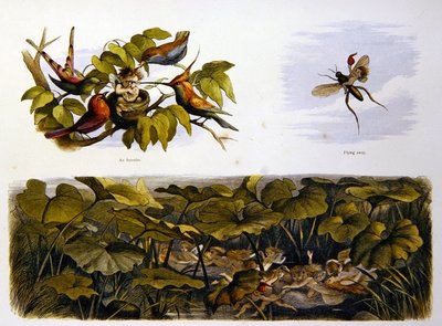 I Eventyrland af Richard Doyle