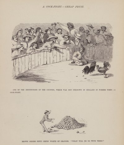 Side fra The American Tour of Mrs Brown, Jones and Robinson (gravering) af Richard Doyle