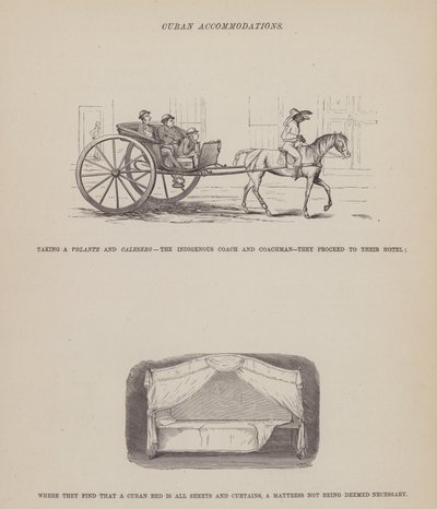 Side fra The American Tour of Mrs Brown, Jones and Robinson (gravering) af Richard Doyle