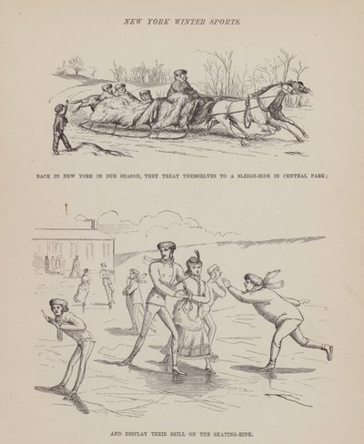 Side fra The American Tour of Mrs Brown, Jones and Robinson (gravering) af Richard Doyle