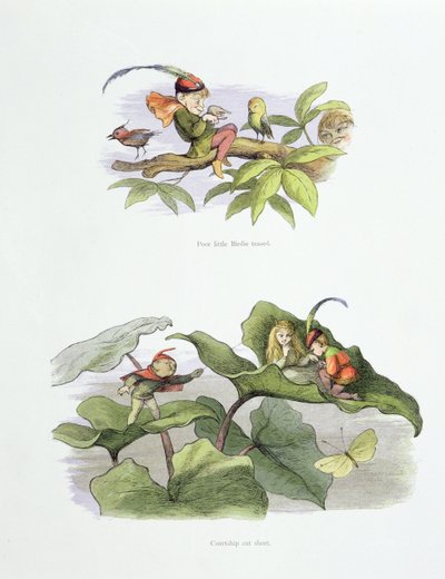 Stakkels lille Birdie drillede, og frieri blev afkortet, illustrationer fra 