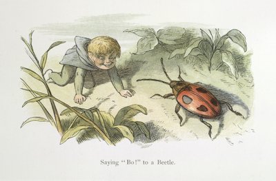 At sige nej! til en bille af Richard Doyle