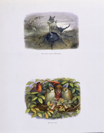 Eventyrdronningens budbringer og Elf og ugler, illustrationer fra "I Eventyrland: A Series of Pictures from the Elf-World" af William Allingham og Andrew Lang af Richard Doyle