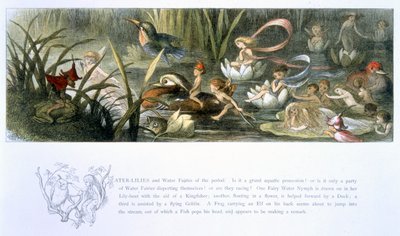 Water-Lilies and Water Fairies, illustration fra 