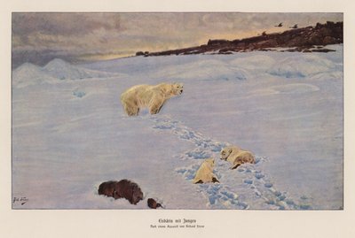 Isbjørn og unger (farvelitografi) af Richard Friese