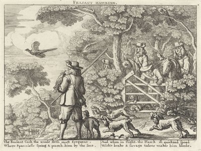 Valkenjacht op fazanten Feasant Hawking (titel på objekt) Jachtpartijen (serietitel) Flere måder at jage, jage og fiske på, ifølge engelsk maner (serietitel) af Richard Gaywood (possibly)