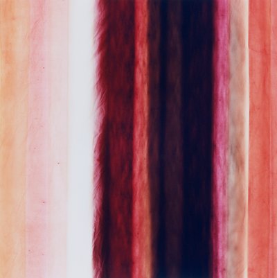 Stripe X, 2005 af Richard Green