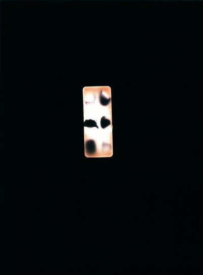 Uden titel, 2004 (unikt c-type fotogram) af Richard Green