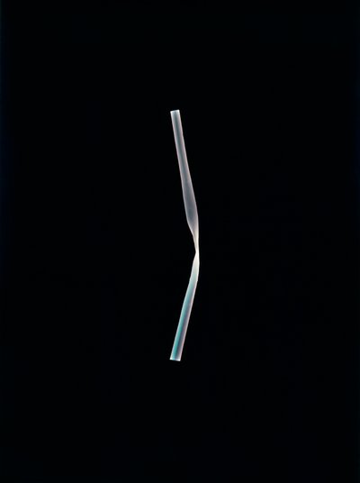 Uden titel, 2004 (unikt c-type fotogram) af Richard Green