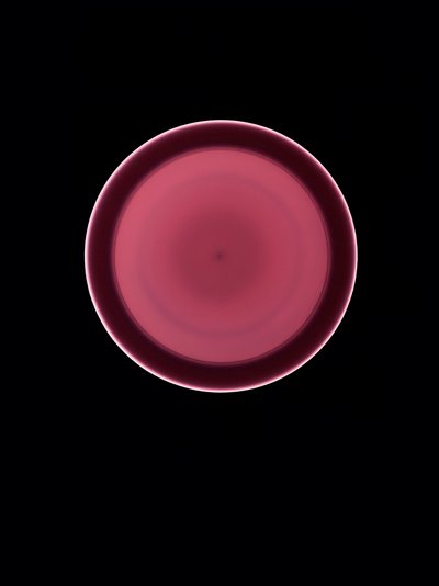 Uden titel, 2004 af Richard Green