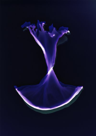 Uden titel, 2004 af Richard Green
