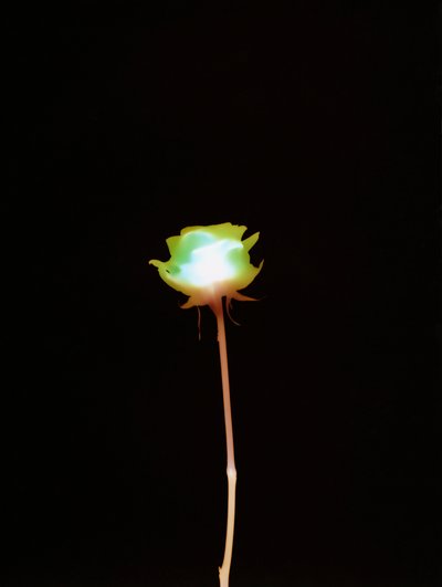 Uden titel, 2007 af Richard Green