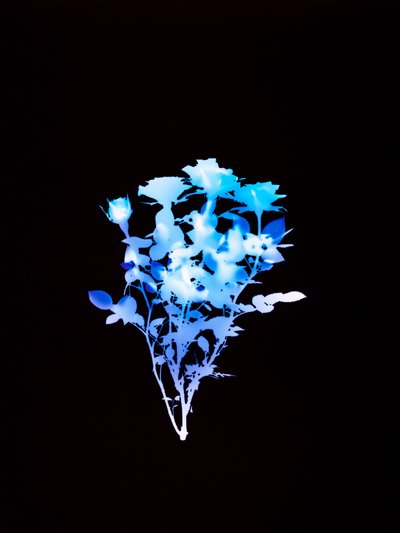 Uden titel, 2008 af Richard Green