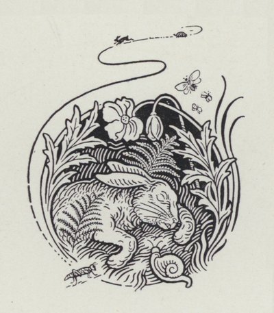 Haren og skildpadden (gravering) af Richard Heighway