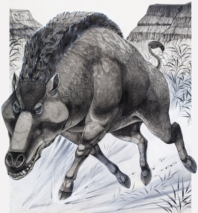 Daeodon (gouache på papir) af Richard Hook