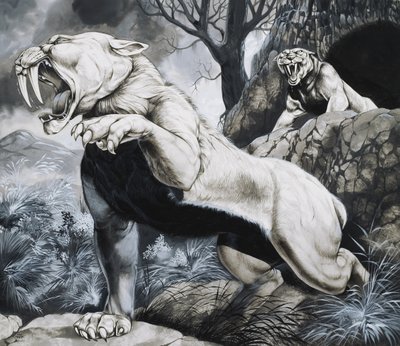 Sabeltandede tigre (gouache på papir) af Richard Hook