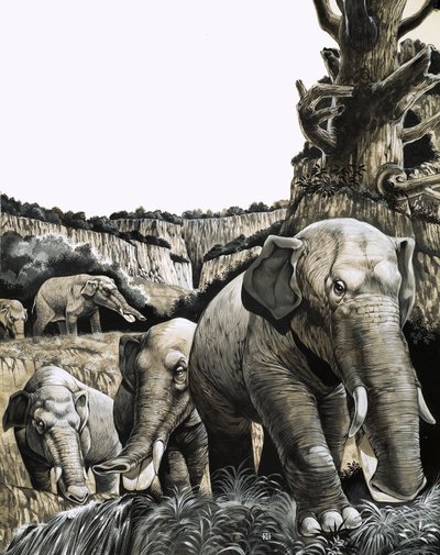 Den mærkelige Amebelodon af Richard Hook