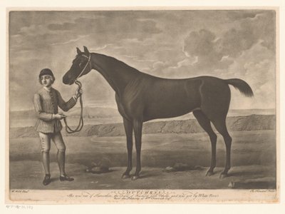 Racepaard med jockey hollænderinde af Richard Houston